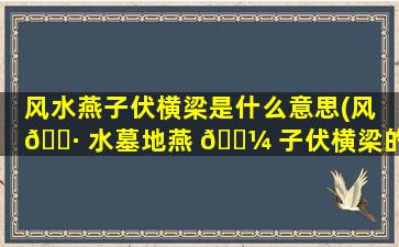 风水燕子伏横梁是什么意思(风 🌷 水墓地燕 🐼 子伏横梁的特点)